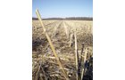 Property photo 2 - 159 Acres Offered in 7 Tracts